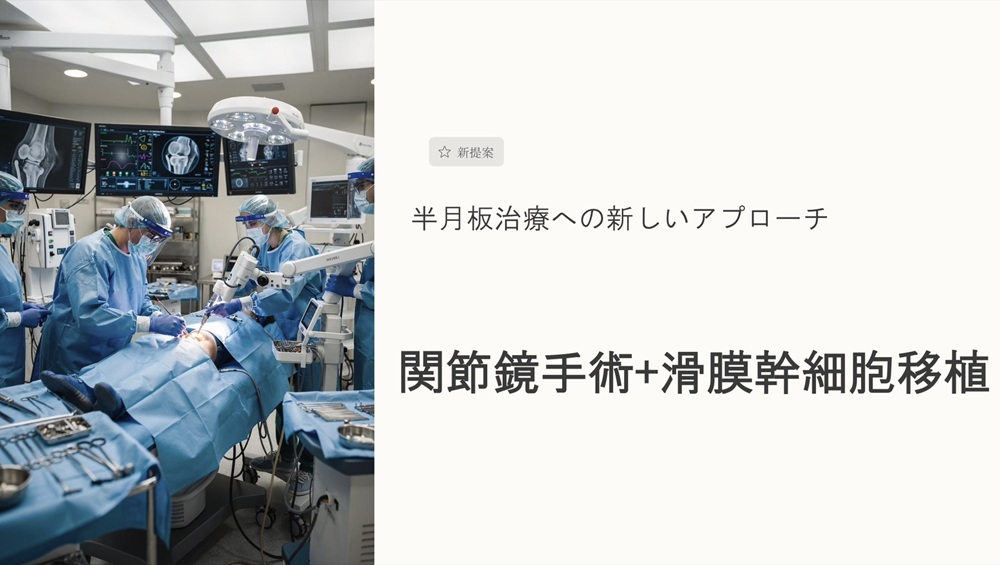 新提案1