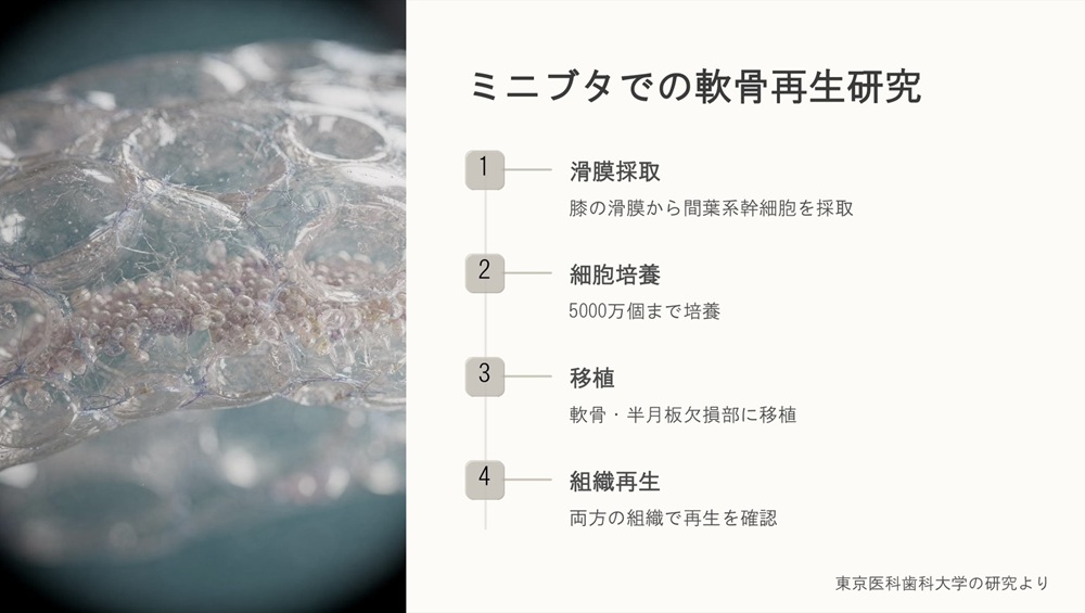 エビデンス3